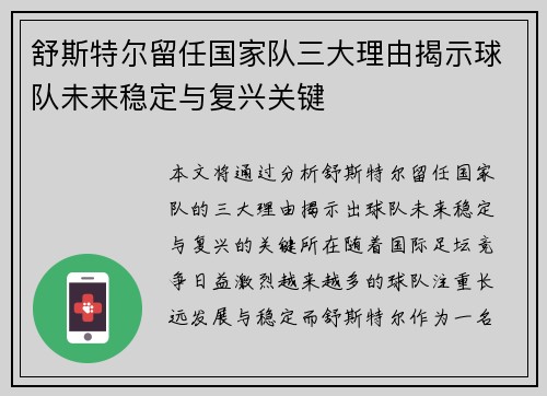 舒斯特尔留任国家队三大理由揭示球队未来稳定与复兴关键 舒斯特尔留任国家队三大理由揭示球队未来稳定与复兴关键
